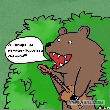 Медведи почти на все случаи жизни