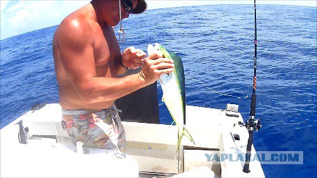 Каникулы во Флориде