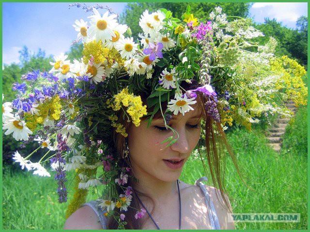 Добряки, плюсующие всех подряд