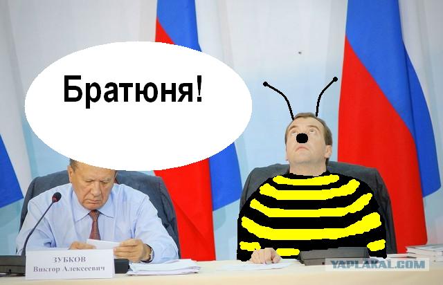 Какие нах санкции, у меня тут шмель!
