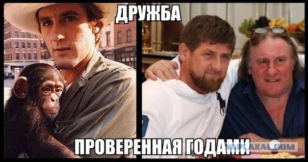 Прикольные пикчи