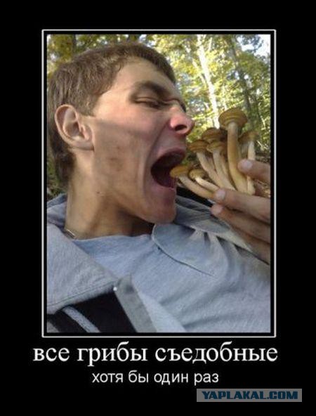 Демотиваторов пост, добавляйте свои