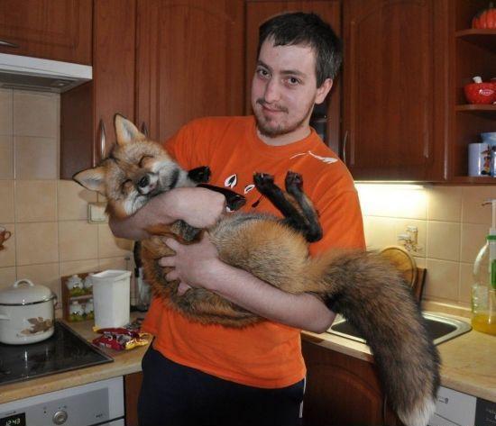 Весёлые картинки