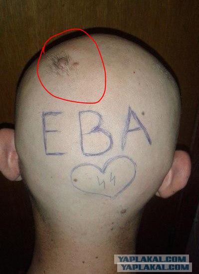 Вестник соцсетей