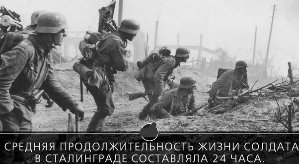 25 интересных фактов.