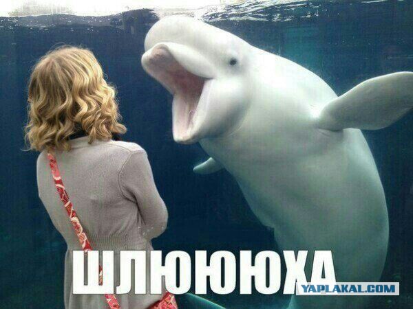 Спалилась по неосторожности