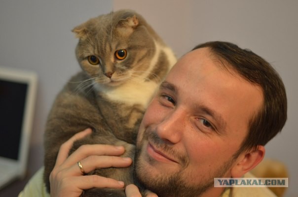 Жизнь как она есть...
