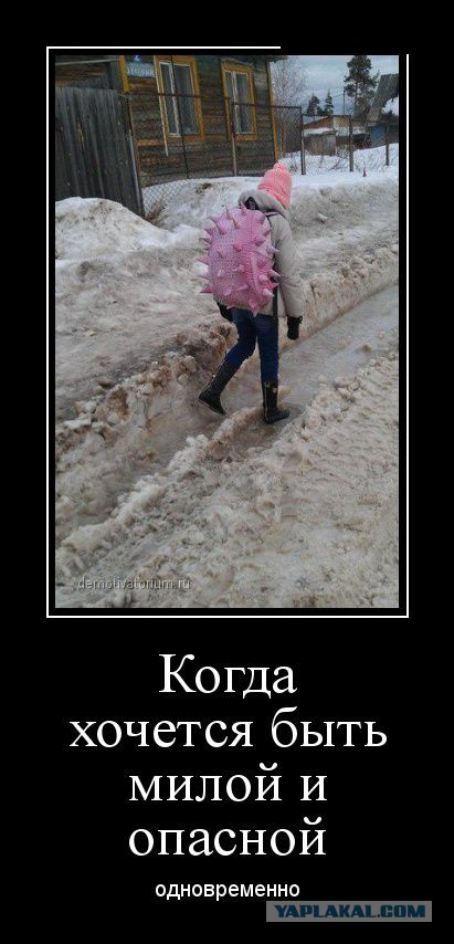 Подборка демотиваторов