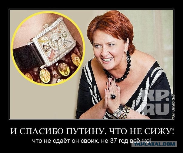 Медведев ограничит численность скота у населения