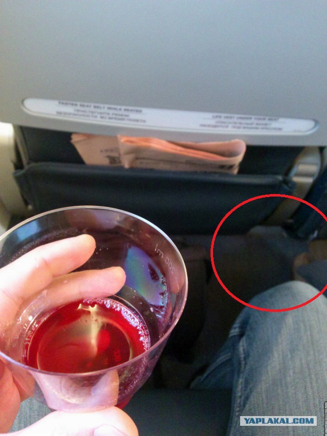 Бизнес-классом в Москву из Саратова