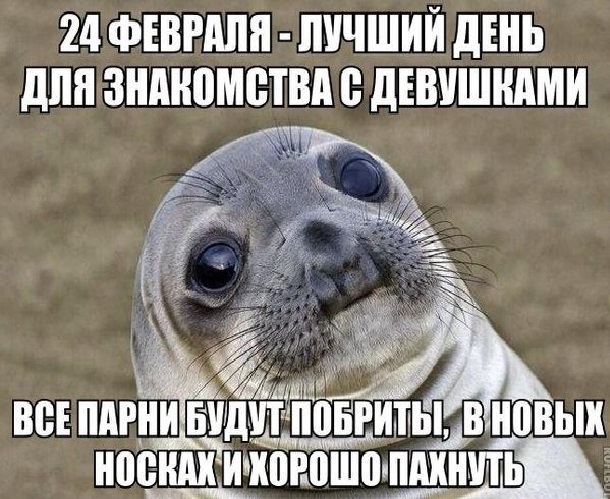 Анекдоты. Фразы.