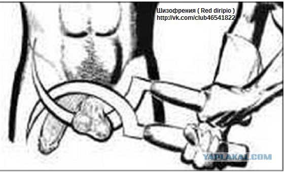 Как я вчера отбивалась от нападения