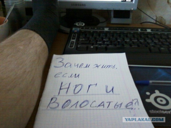 Как сложно быть девушкой на ЯПе