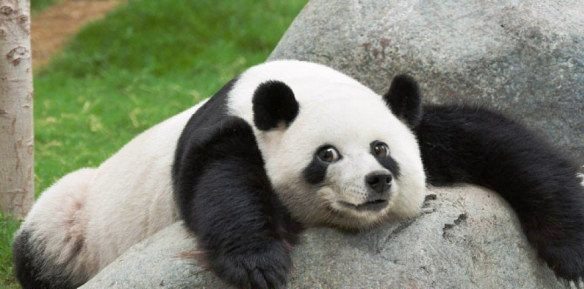 Подборка картинок из сети