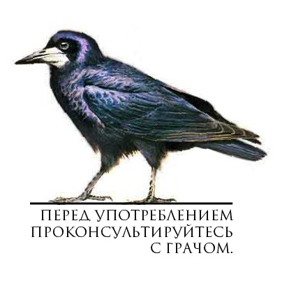 Абсурдная субботница