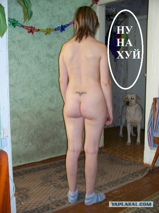 Вестник социальных сетей