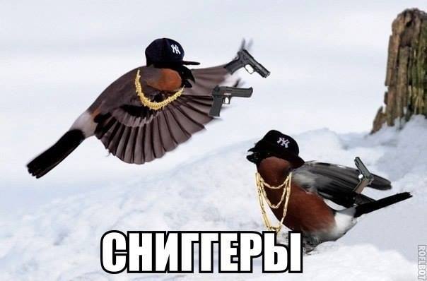 Абсурдный юмор ч. 23