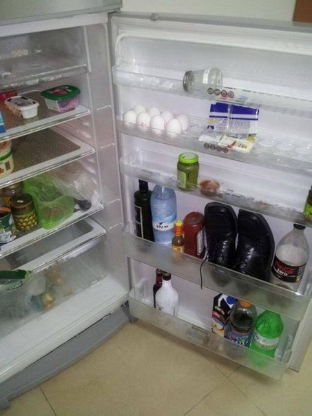 Ужасы и приколы из соцсетей