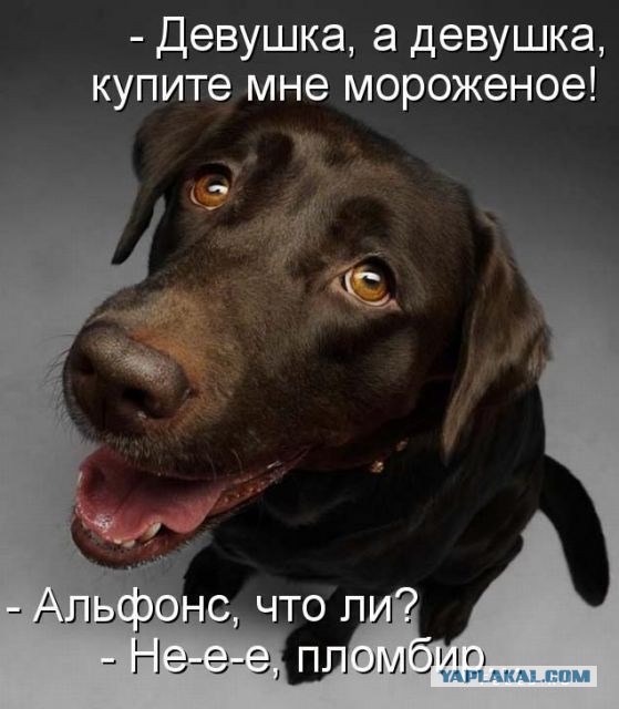 Подборка прикольных и веселых фото