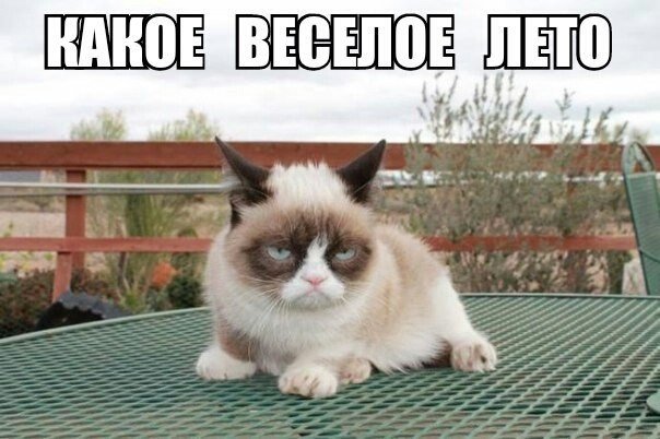 Комментарии и картинки из соцсетей