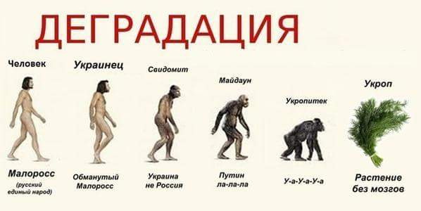 "Вот это поворот в деле сбитого Боинга!" или "Что это за птичка на снимке?"