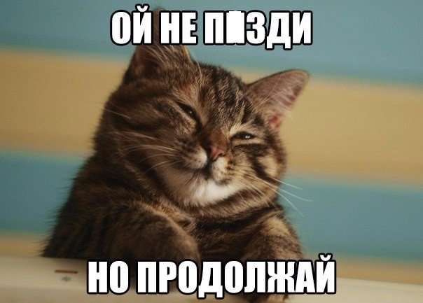 Прикольные животные