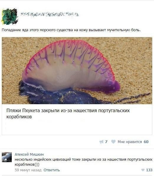 Смешные картинки с надписями