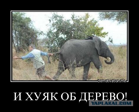 Упоротая пятиминутка