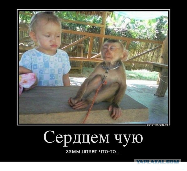 Картинки из ваших интернетов