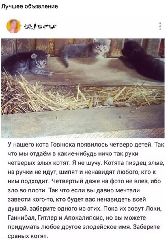Подборка картинок