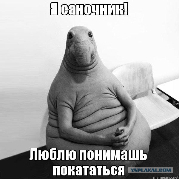 Поговорим о спорте.