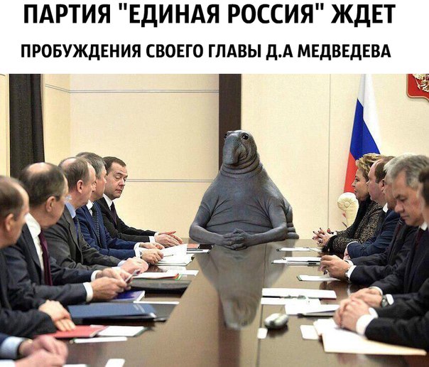 Порция бреда и абсурда к пятнице
