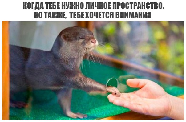 Журнал школьный деградант