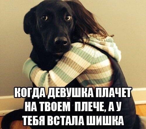 Приколы в стиле "регресс"