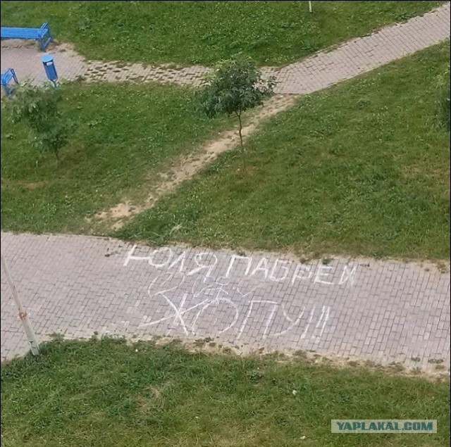 Последняя картошка