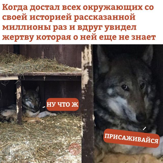 Нестандартный юмор