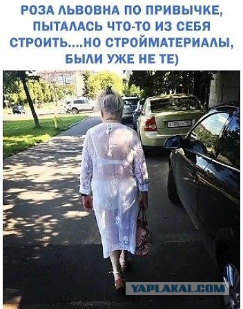 Немного картинок в этот тяжёлый день