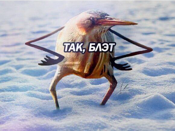 Как бабы мужика делили