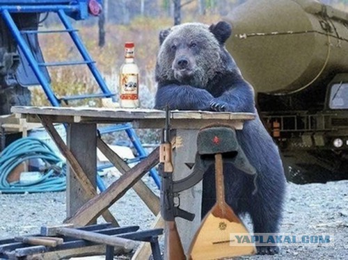 Мало кто об этом слышал, но это правда