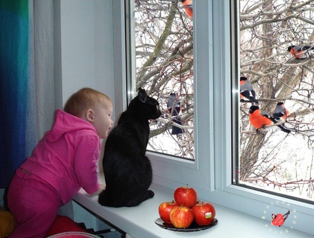 Забавные картинки с разных ресурсов