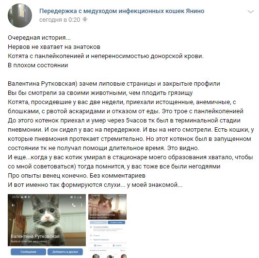 Помогите вернуть кота! Приют "Преданное сердце" украл кота и не отдает!-2