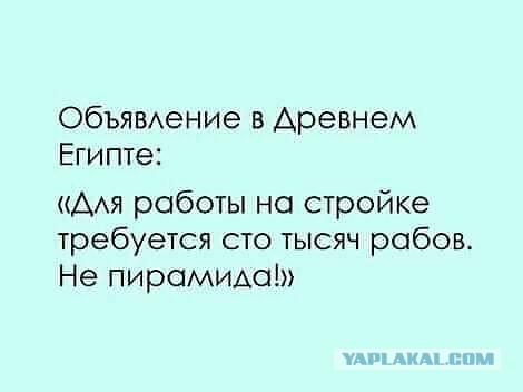Немного картинок для настроения 11.12.19