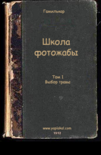 Фотожаба: учебник