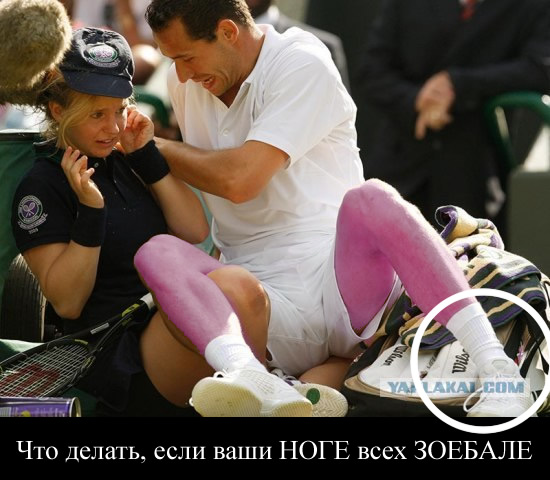 Фотожаба: Бу! А ну отдай мячик!