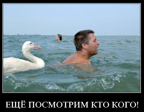Фотожаба: Поймаю - съем!