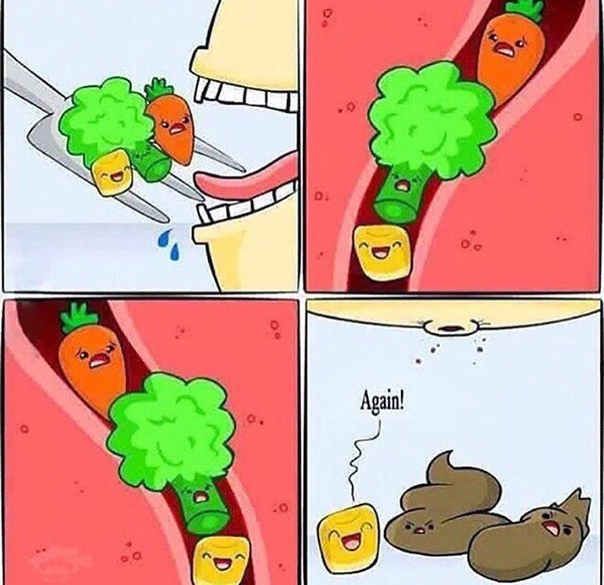 Советский союз