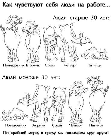 Картинки и мемы для настроения 025