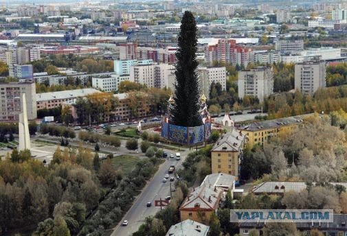 У нас в городе поставили ЙОЛКУ