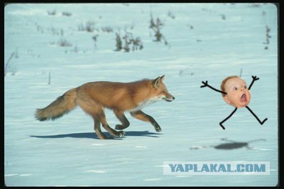 Где тут тормооооз?!