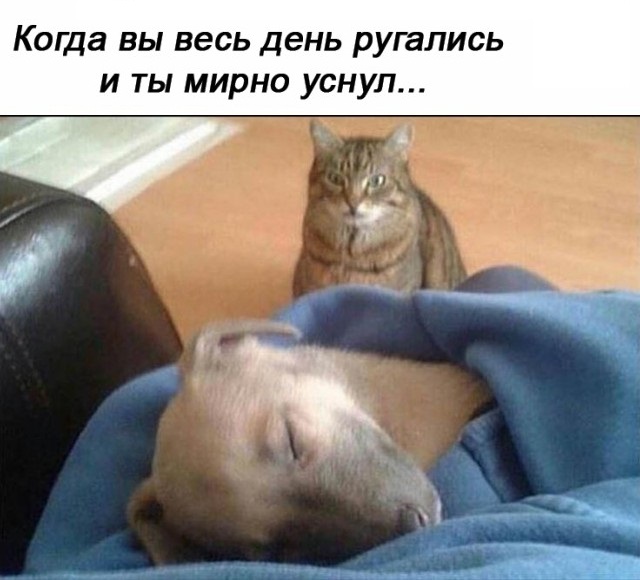 Картинки с надписями и всякие жизненные фразы 9.01.21